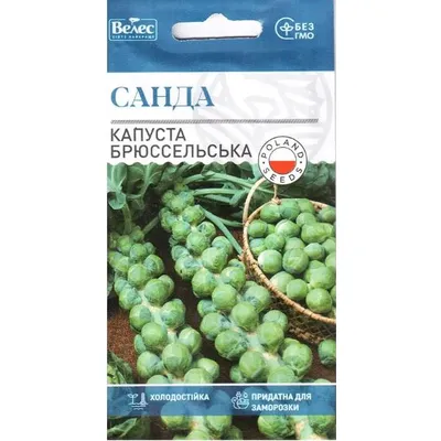 Капуста брюссельська  Санда 0,5 г 99549 Велес