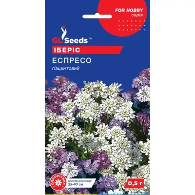 Іберіс Еспресо 0,5 г 5682 GL SEEDS