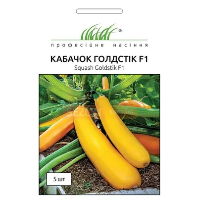 Проф насіння Кабачок Голдстік   F1 ,5шт. 000165