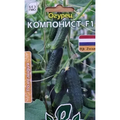 Огірок Компоніст  F1 10шт Голландія 3051 Велес