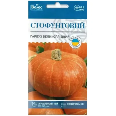 Гарбуз великоплідний Стофунтовий  20гр МАКСІ 99689 Велес