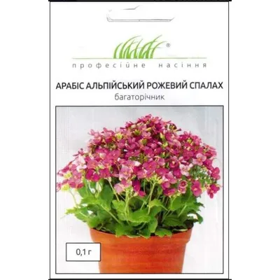 Проф насіння Арабіс альпійський Рожевий спалах 0,1г 10416