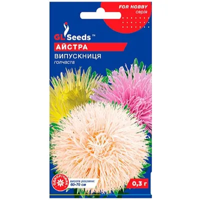 Айстра Випускниця 0,3 г 3371 GL SEEDS
