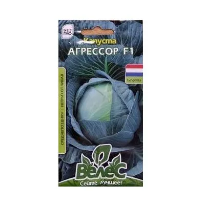 Капуста Агрессор  F1 20шт Голландия 3147 Велес