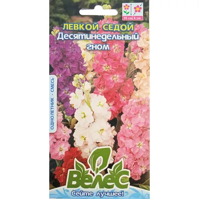 Левкой сивий  Десятитижневий гном 0,2 гр 99248 Велес