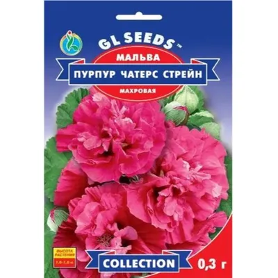 Мальва Пурпур Чатерс Стрейн 0,3гр 95211 GL SEEDS