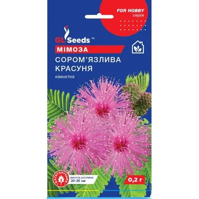 Мімоза Сором'язлива красуня кімнатна 0,2 г 3409 GL SEEDS