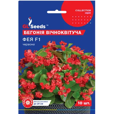 Бегонія Фея  F1 червона 10 шт 10901 GL SEEDS