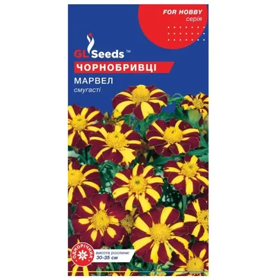Чорнобривці Марвел смугасті 0,2 г 24294 GL SEEDS