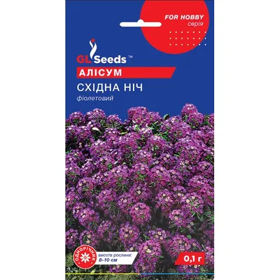 Алісум Східна ніч 0,1 г 95113 GL SEEDS