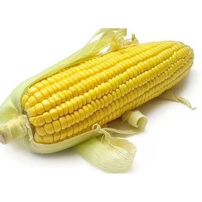 Кукурудза Данііл 1 кг 6299