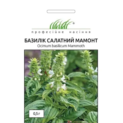 Проф насіння Базилік салатний Мамонт 0,5 г. 010150