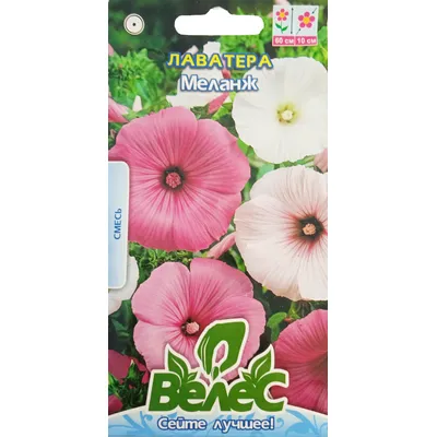 Лаватера Меланж 1 г 95201 Велес