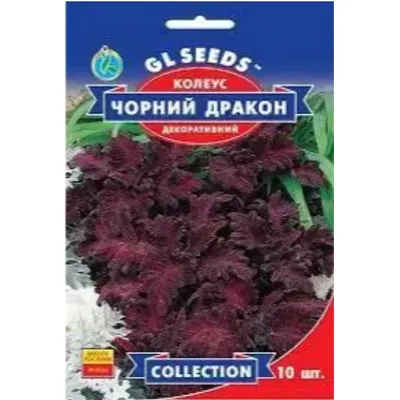 Колеус Чорний дракон 10 шт 5727 GL SEEDS