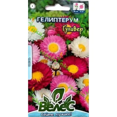 Геліптерум Гулівер  0,3 г 3057 Велес