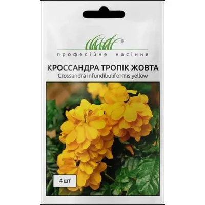 Проф насіння Кроссандра Тропік жовта 4шт. 10417