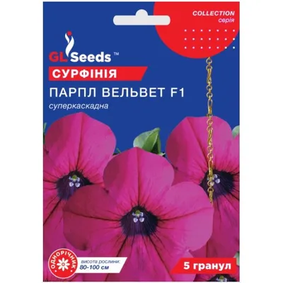 Сурфінія  Парпл Вельвет  F1 5 гранул 95273 GL SEEDS