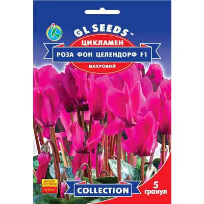 Цикламен  Роза фон Целендорф F1 5 гранул 5717 GL SEEDS