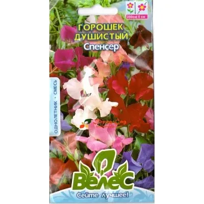 Горошок запашний  Спенсер 1 г 95171 Велес