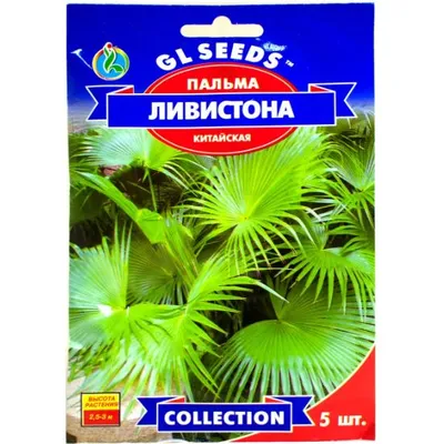Пальма Лівістона (китайська) 5 шт 95238 GL SEEDS