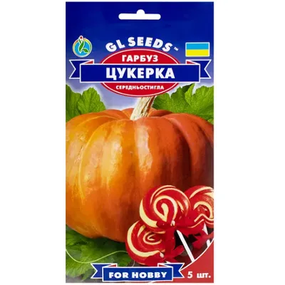 Гарбуз Цукерка  5шт 5489 GL SEEDS