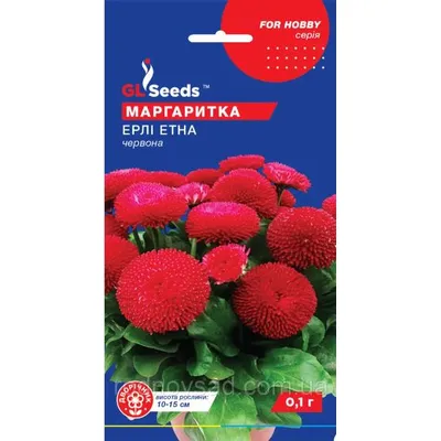 Маргаритка Ерлі Етна 0,1 г 3443 GL SEEDS
