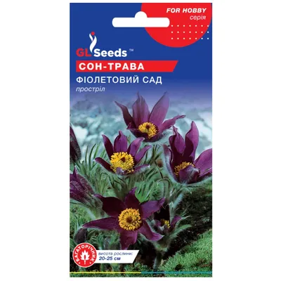 Сон - трава Фіолетовий сад 0,1 г 5478 GL SEEDS