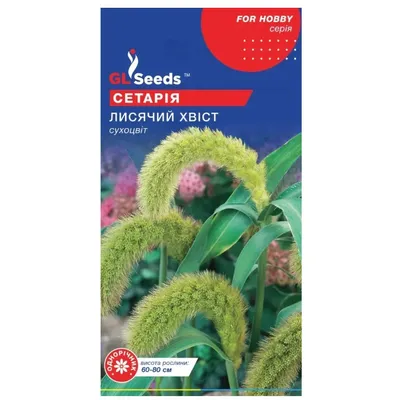 Сетарія Лисячий хвіст 1 г 24293 GL SEEDS