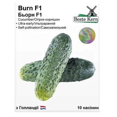 Огірок Burn F1 10 шт 10203 Beste Kern