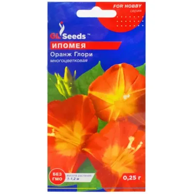 Іпомея Оранж Глорі 0,25гр 3362 GL SEEDS
