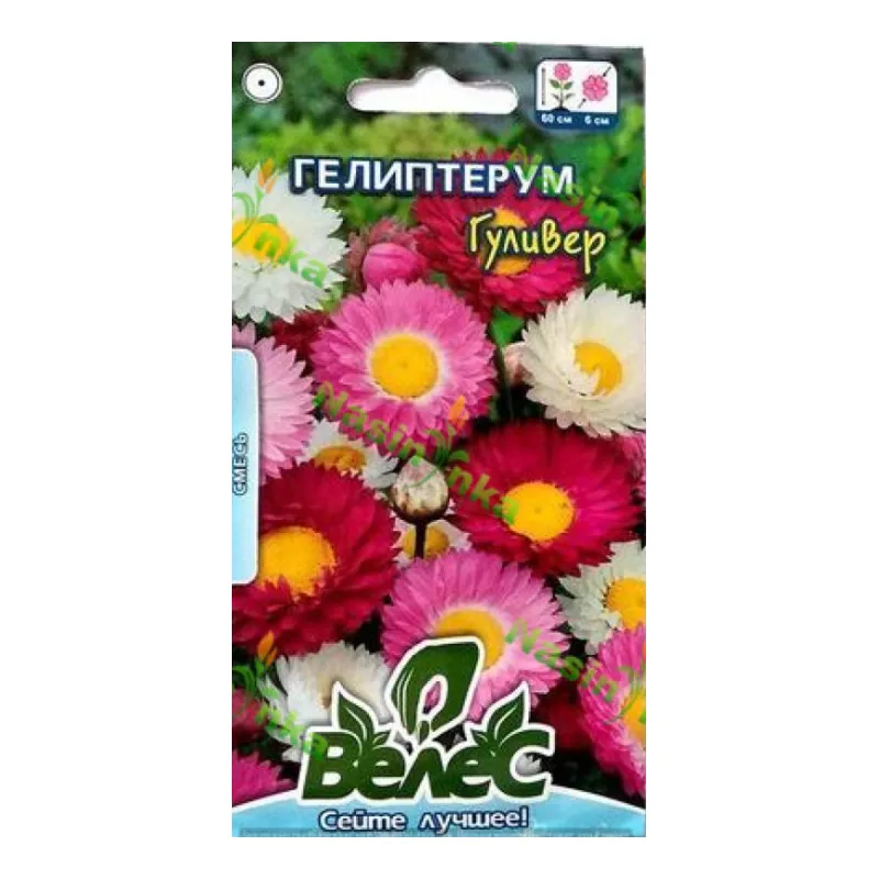 Геліптерум Гулівер  0,3 г 3057 Велес 