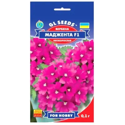 Вербена  Маджента   F1 0,1 гр 95149 GL SEEDS
