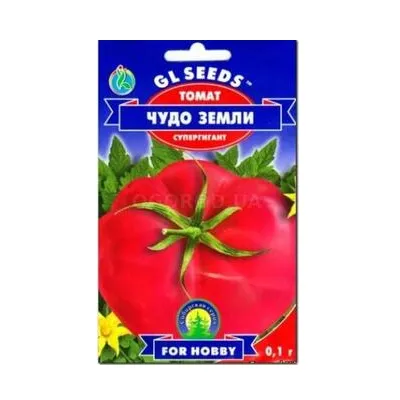 Томат Диво  землі  0,1 г 5398 GL SEEDS