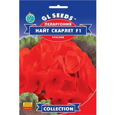 Пеларгонія Найт Скарлет F1 5 штук 10942 GL SEEDS