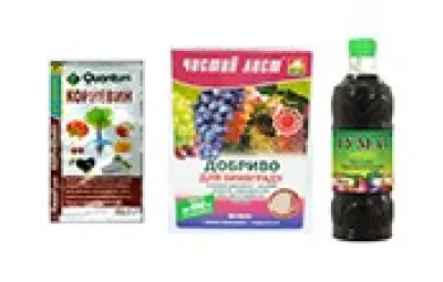 Стимулятори росту