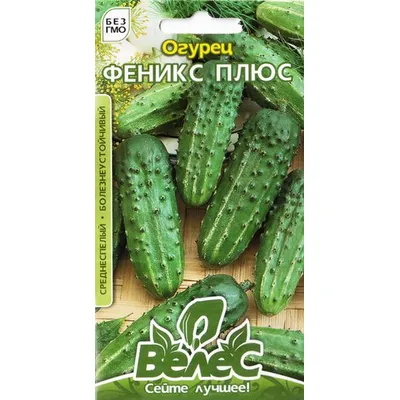 Огірок Фенікс плюс  5г МАКСІ 5484 Велес