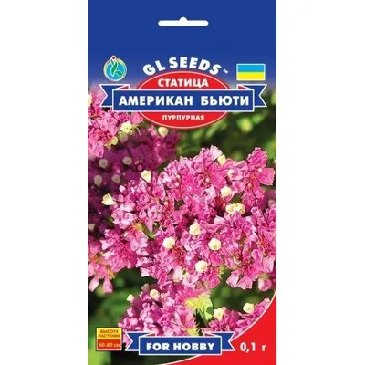 Статиця  (кермек) Амерікан Бьюті 0,1 г 99461 GL SEEDS