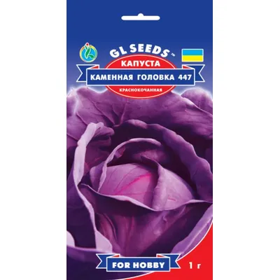 Капуста Кам'яна голівка червонокачанна 1 г 5150 GL SEEDS