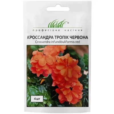 Проф насіння Кроссандра Тропік червона 4шт. 00451