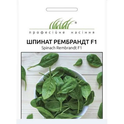 Проф насіння Шпинат Рембрандт F1, 2г 7073