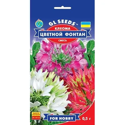 Клеома Кольоровий  фонтан 0,5 г 3417 GL SEEDS