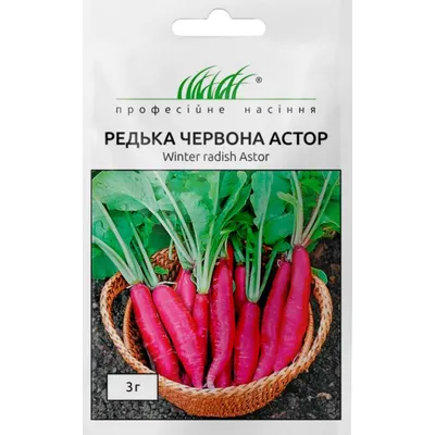 Проф насіння Редька червона Астор 3 г. 100108