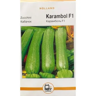 Голандія Кабачок Карамболь  F1  3  гр. 01040