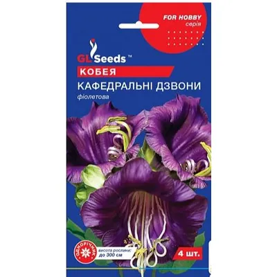 Кобея Кафедральні дзвони фіолетова 4 шт. 00075 GL SEEDS