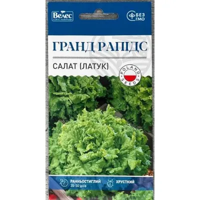 Салат  Гранд Рапідс  1гр 00329 Велес