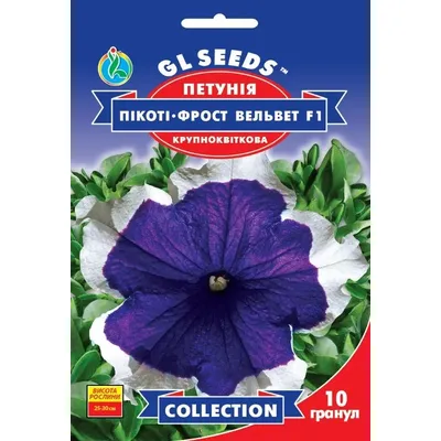 Петунія Пікоті - фрост вельвет F1 10 шт 20303 GL SEEDS