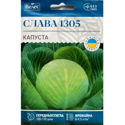 Капуста Слава 1305 5 г  МАКСІ 99244 Велес