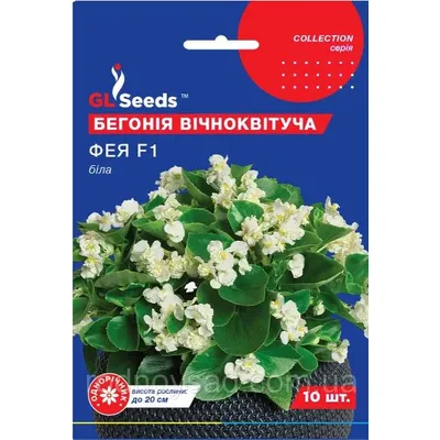 Бегонія Фея  F1 біла 10 шт 95280 GL SEEDS