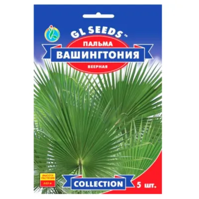 Пальма Вашингтонія 5шт 95237 GL SEEDS