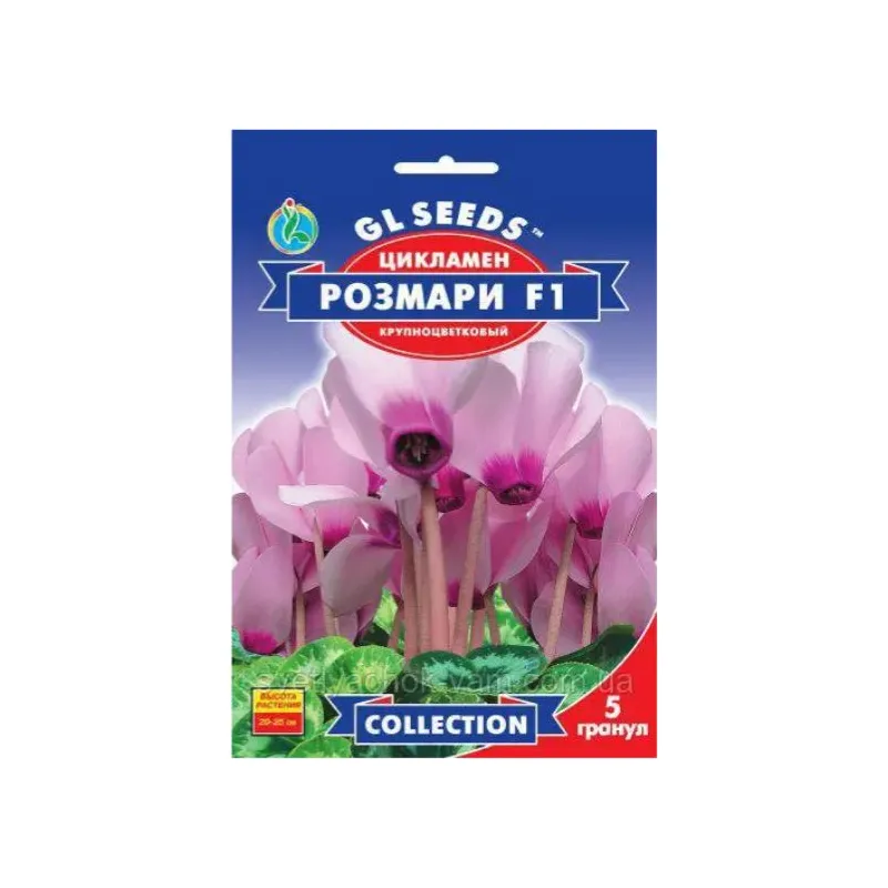 Цикламен Розмарі  F1 5 гранул 10943 GL SEEDS 